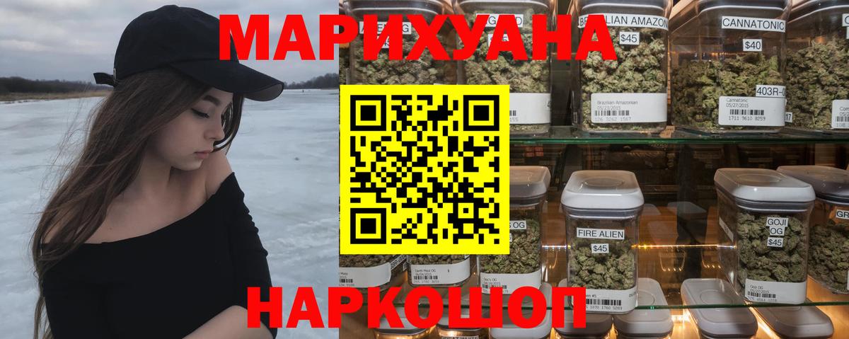 Каннабис сатива Россия
