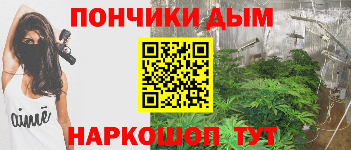Бошки Шишки сатива  Бошки Шишки VHQ  Россия  Канабис гибрид  Вход с VPN 